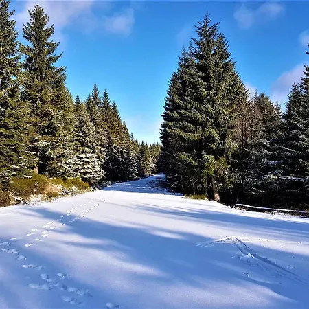 Apartament Karkonosze Premium Apartment *